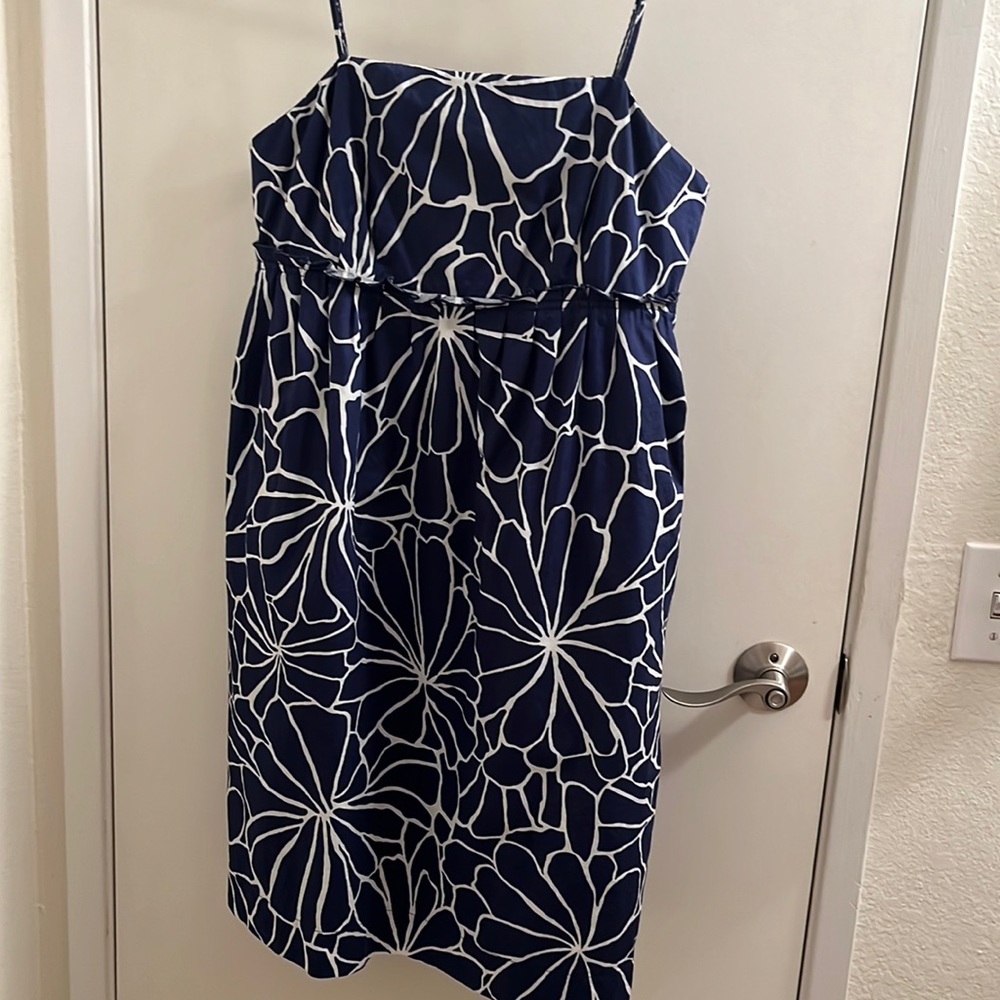 Lucy and Laurel high empire waist dress